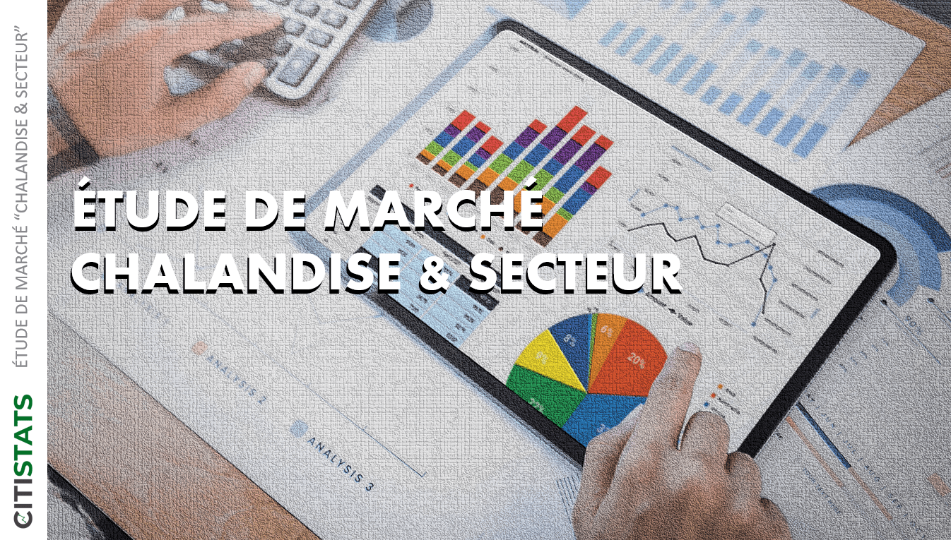 Rapport Etude de marché par CITISTATS