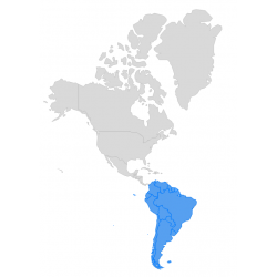 SOUTH AMERICA - Maps and Base Layers