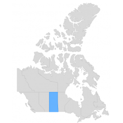 CANADA - Provinces - Cartes et fonds de plans