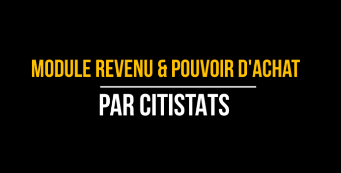 Module "Analyse des revenus et pouvoir d'achat"